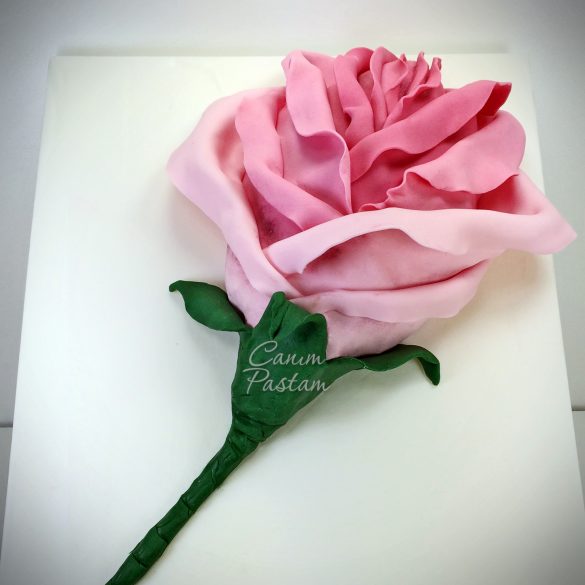 Güllü pasta Rose Cake Pink Rose Cake